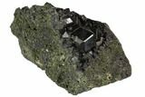 Black Andradite (Melanite) Garnet Cluster - Morocco #107898-1